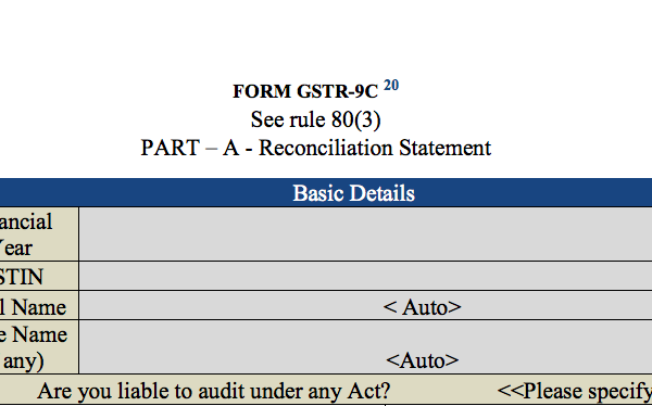 GST audit report part I baisc info