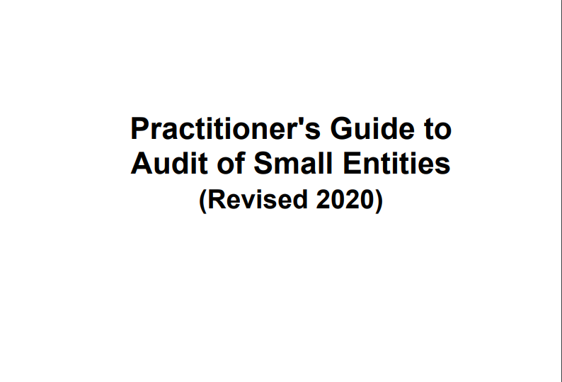 Practitioner's Guide to Audit of Small Entities: ICAI