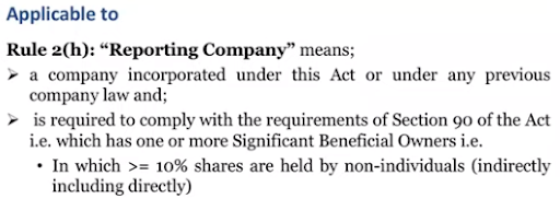 definition of reporting company